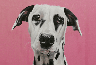 Dog-portrait